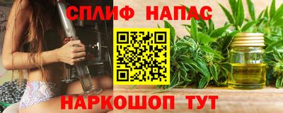 гидропоника Моздок