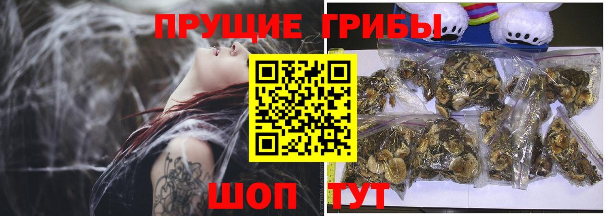 Галлюциногенные грибы Cubensis Урюпинск