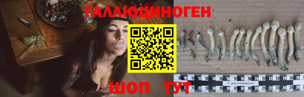 Псилоцибиновые грибы Psilocybine cubensis  Вход с VPN  Урюпинск 